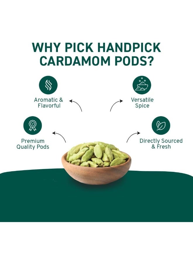 HANDPICK Green Cardamom Pods (57g / 2oz) Large size Green Elaichi | Pure, Non-GMO, Gluten Free | 100% Raw from India | Resealable Zip Lock Pouch - Image 5